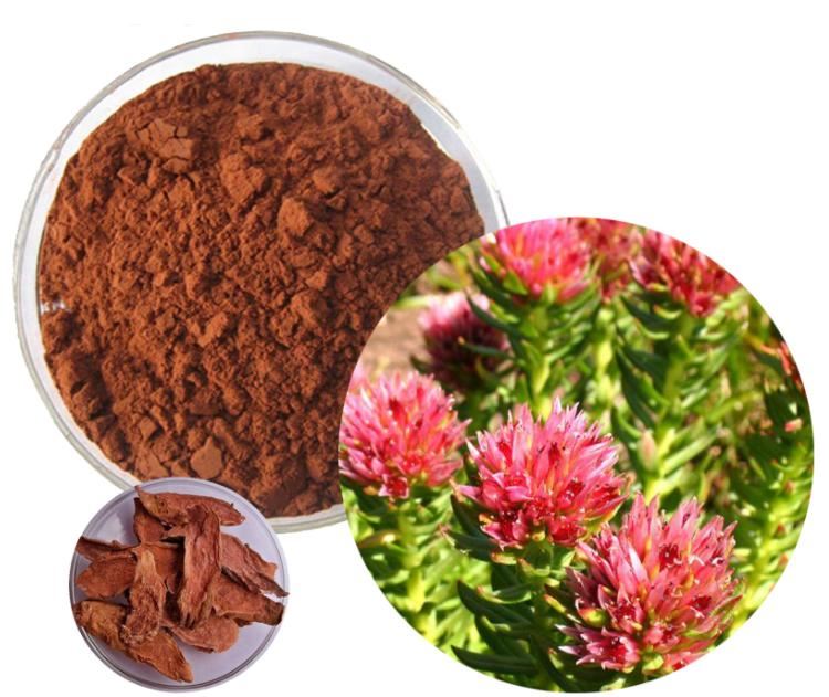 Rhodiola Rosea Extract
