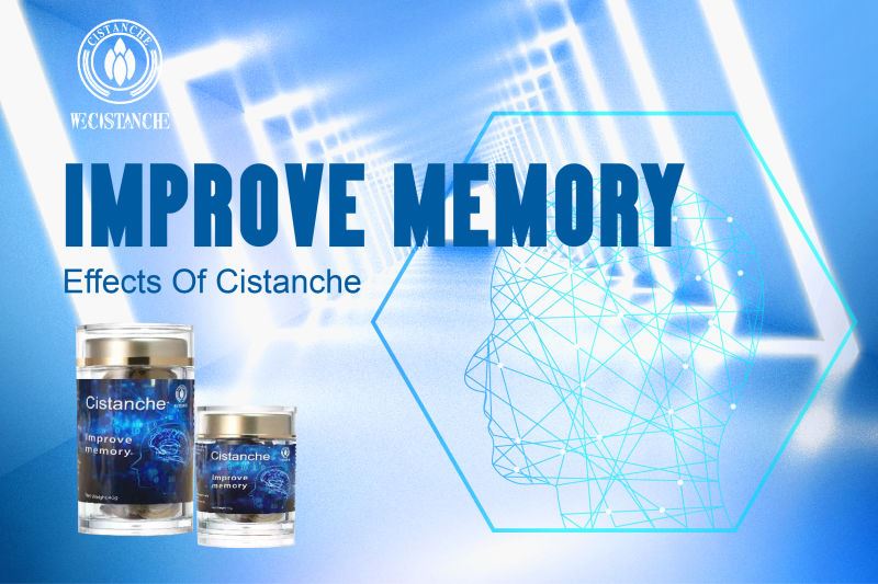 anti alzheimer's disease Cistanche supplement 
