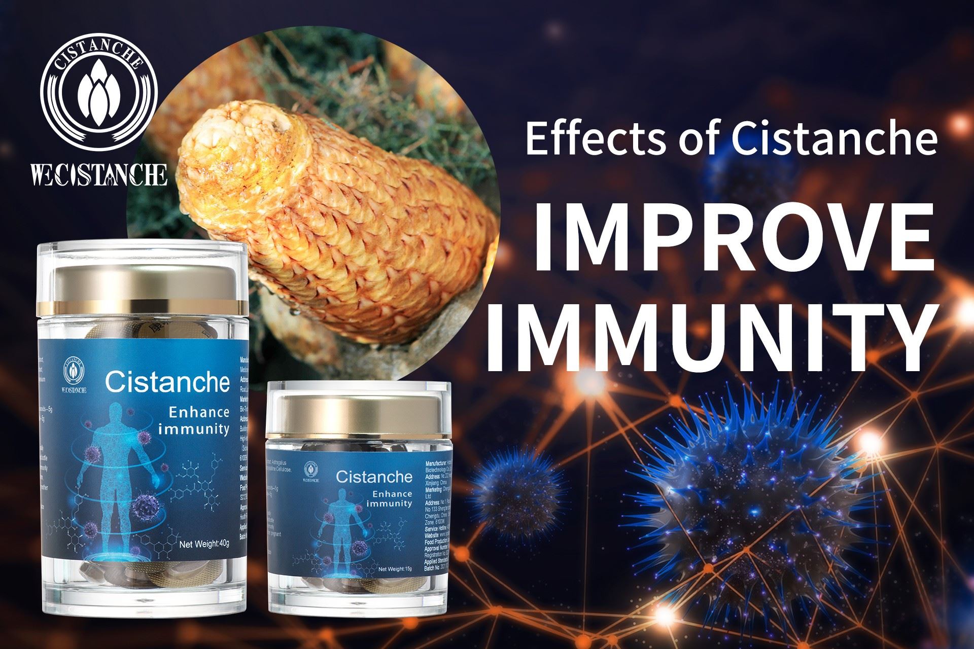 Cistanche has the effect of lowering blood pressure and enhancing immune function Cistanche has the effect of lowering blood pressure and enhancing immune function