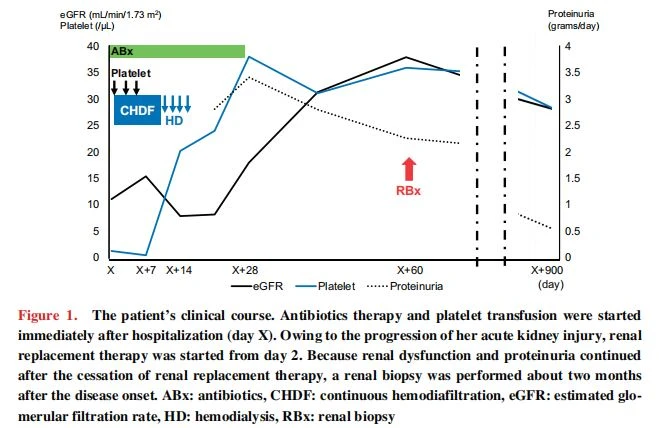 The patient's clinical course. Antibiotics therapy and platelet transfusion were started immediately after hospitalization (day X). Owing to the progression of her acute kidney injury, renal  replacement therapy was started from day 2.