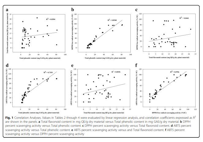 Correlation Analyses