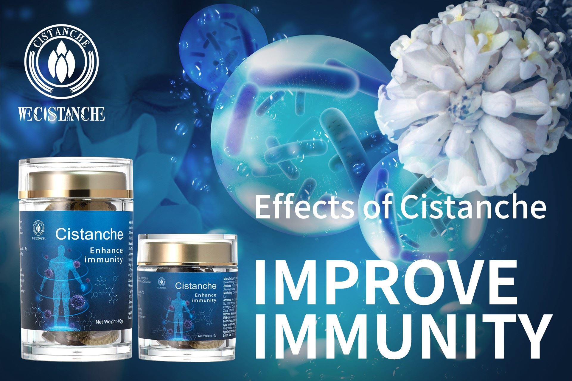 Cistanche is good for immunity Cistanche is good for immunity