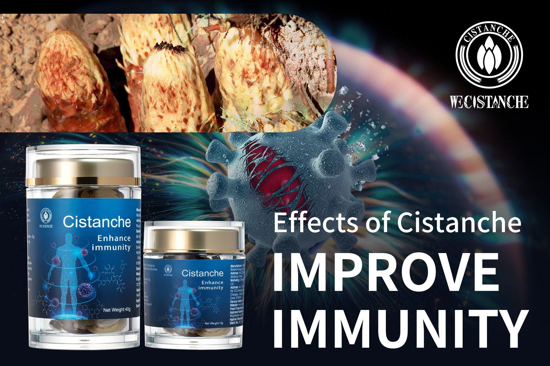 improve immunization by Cistanche improve immunization by Cistanche