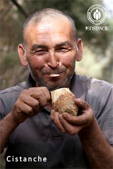source of dietary fiber: Cistanche source of dietary fiber: Cistanche