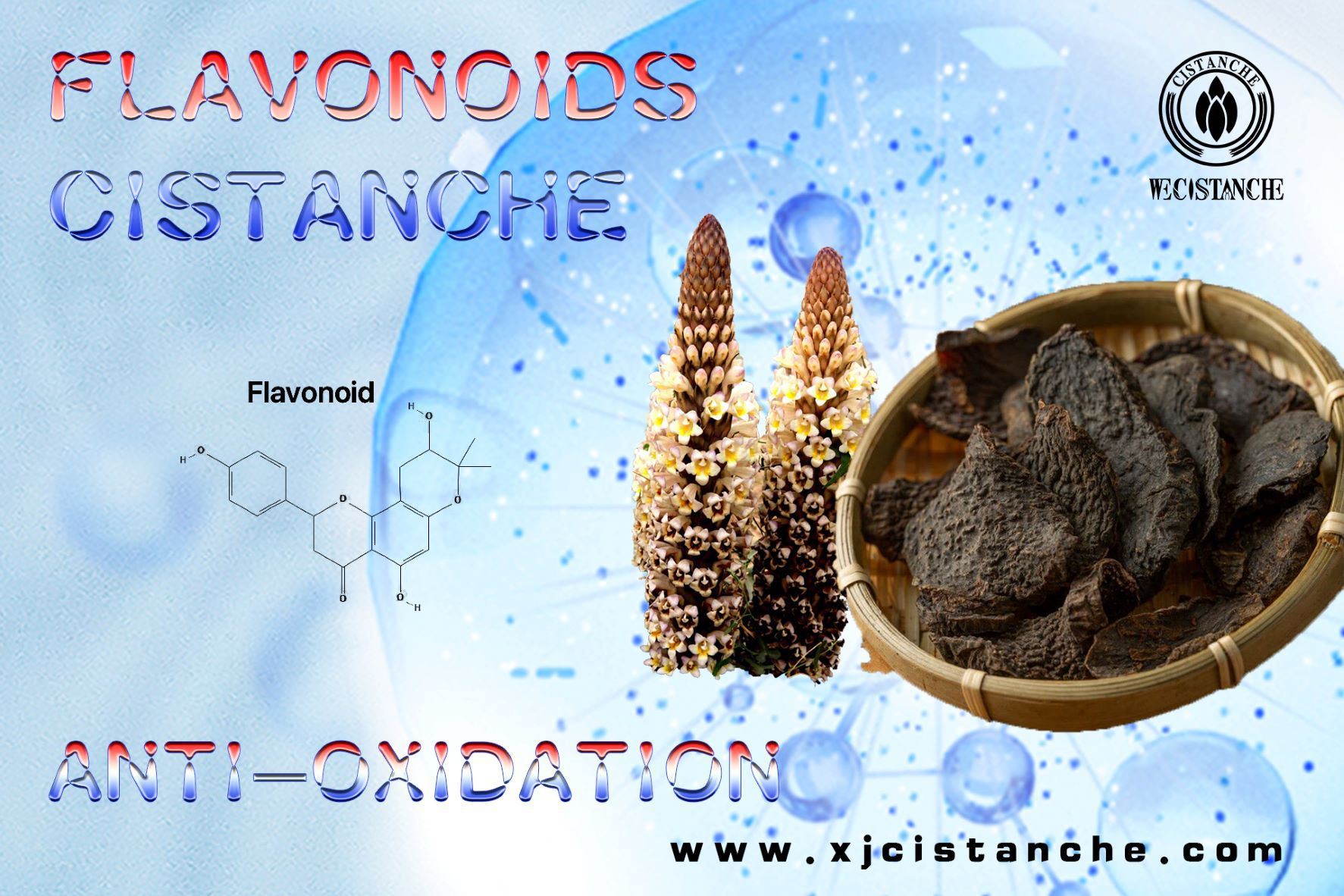 flavonoids antioxidant flavonoids antioxidant