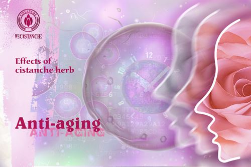 Anti-aging(, Anti-aging(,