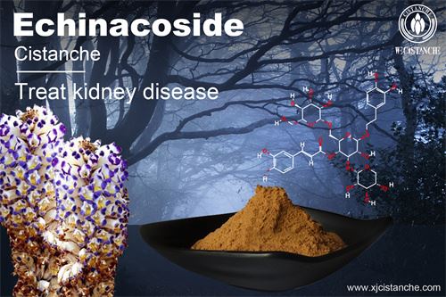 to relieve the chronic kidney disease to relieve the chronic kidney disease