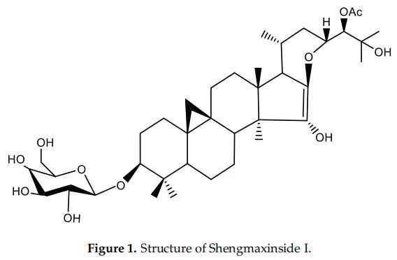 Figure 1. Structure of Shengmaxinside I