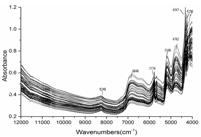Figure 2. NIRS spectra of 150 batches of Rhizoma Cimicifugae.