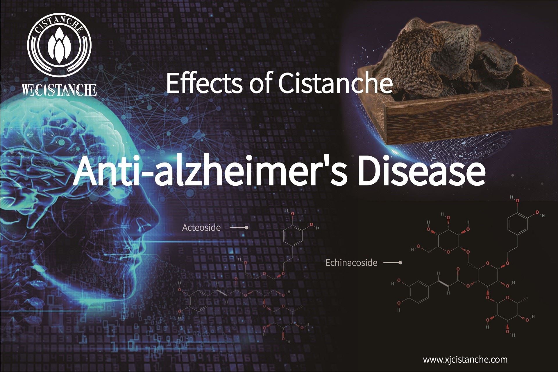 the best herb for anti alzheimer's disease the best herb for anti alzheimer's disease