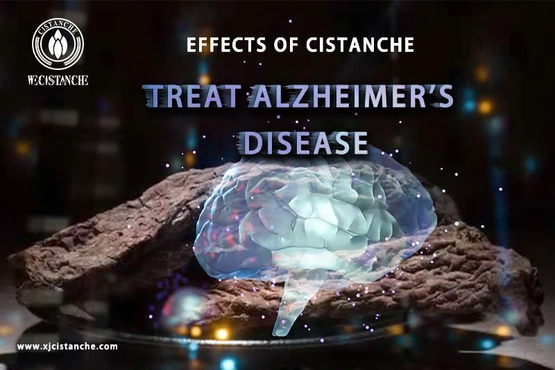 treatment of alzheimer's disease treatment of alzheimer's disease