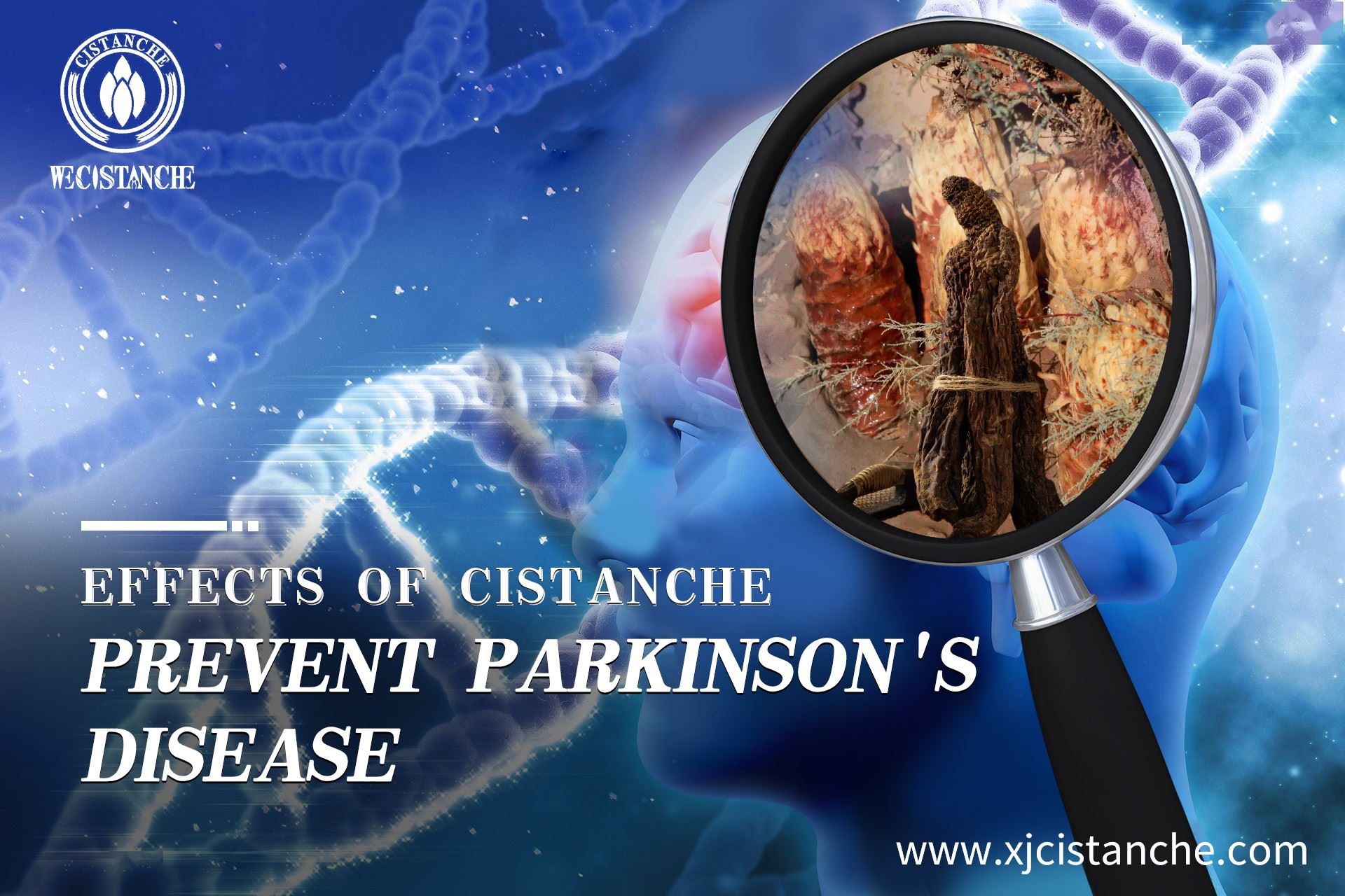 how to prevent parkinson's disease