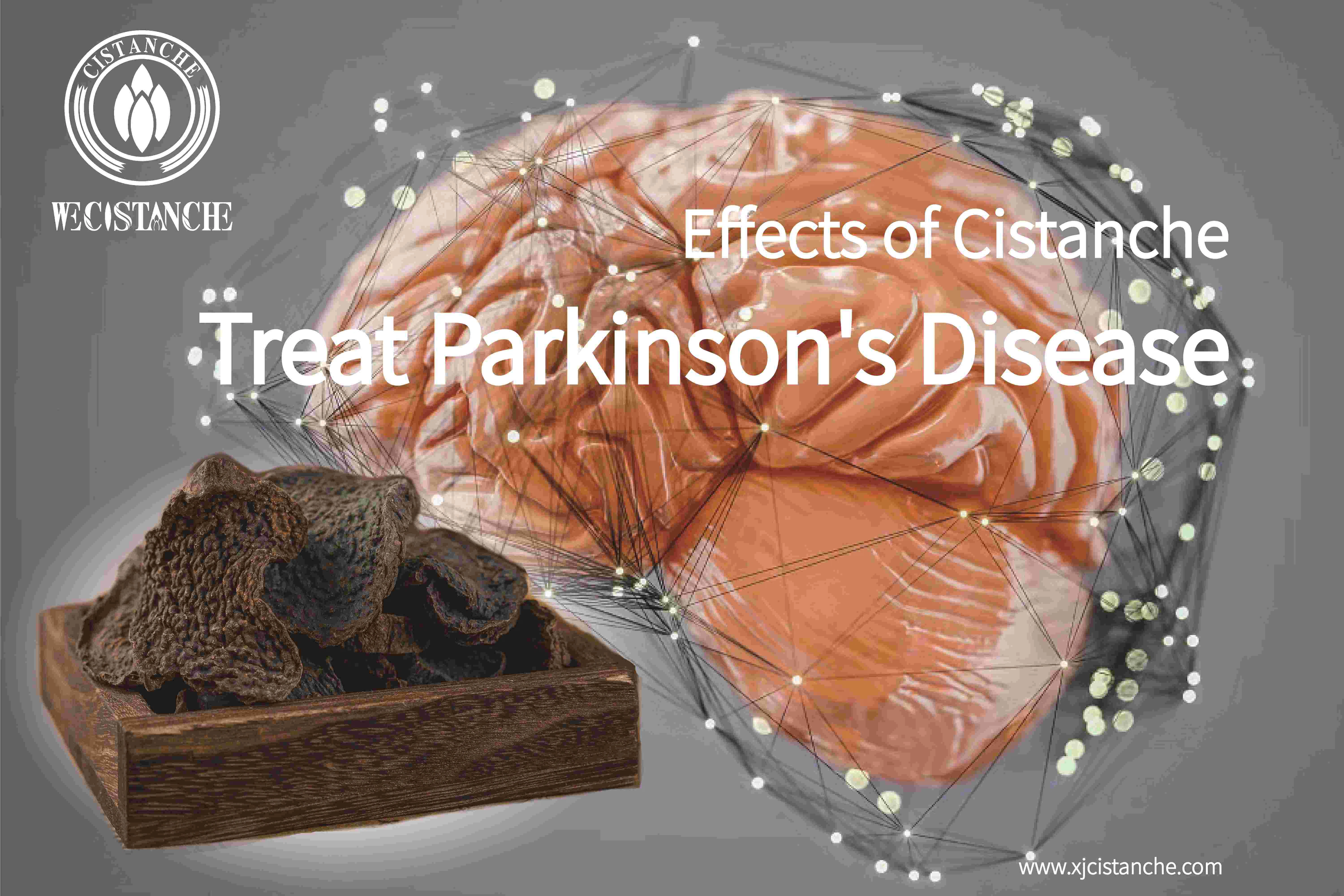 how to treat parkinson's disease how to treat parkinson's disease