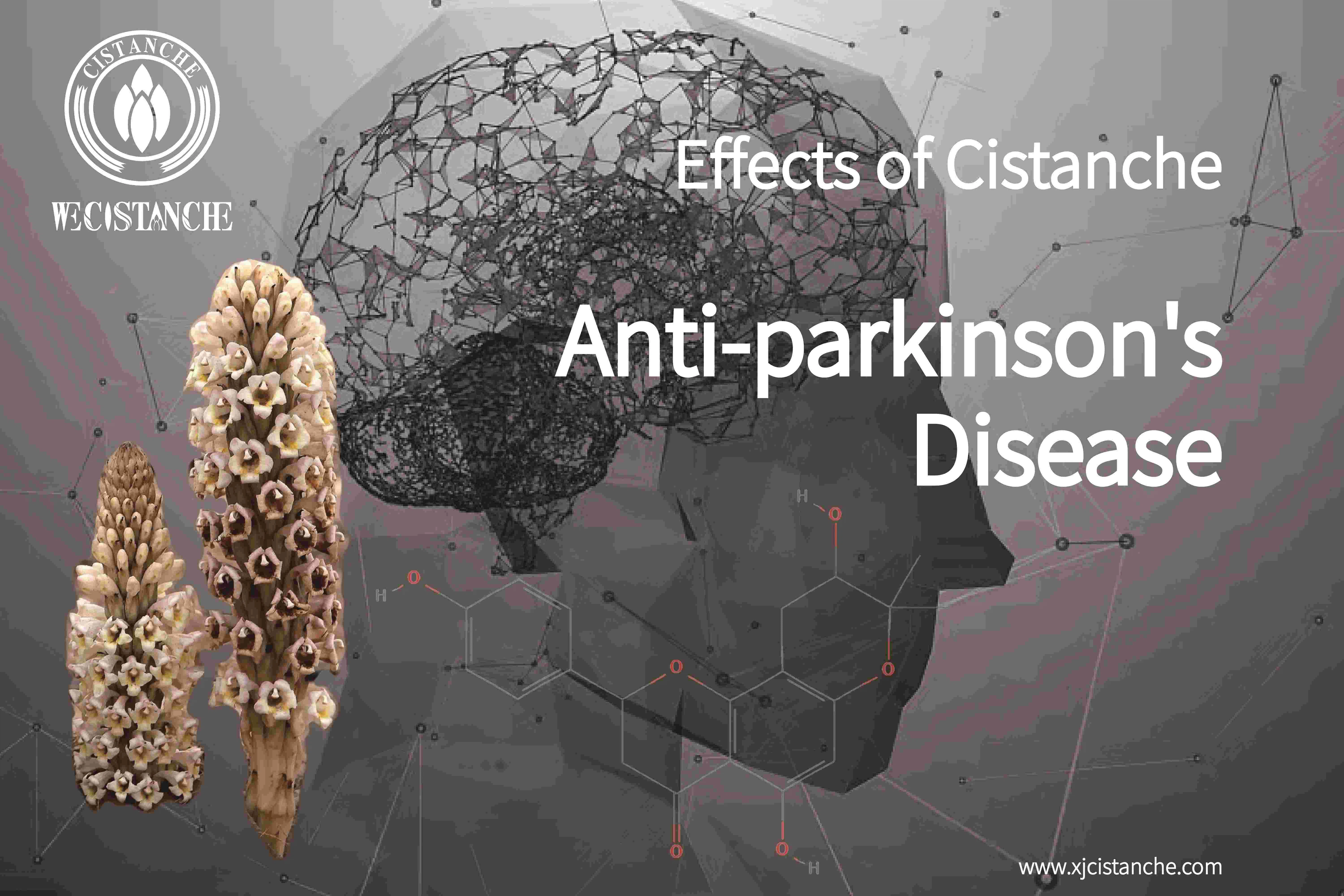 natural herb for parkinson's disease natural herb for parkinson's disease
