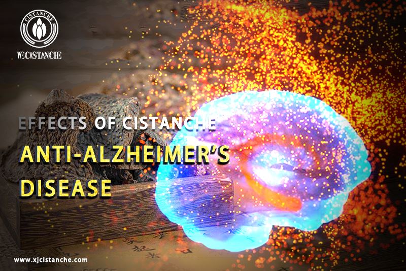 the best herb for alzheimer's disease the best herb for alzheimer's disease