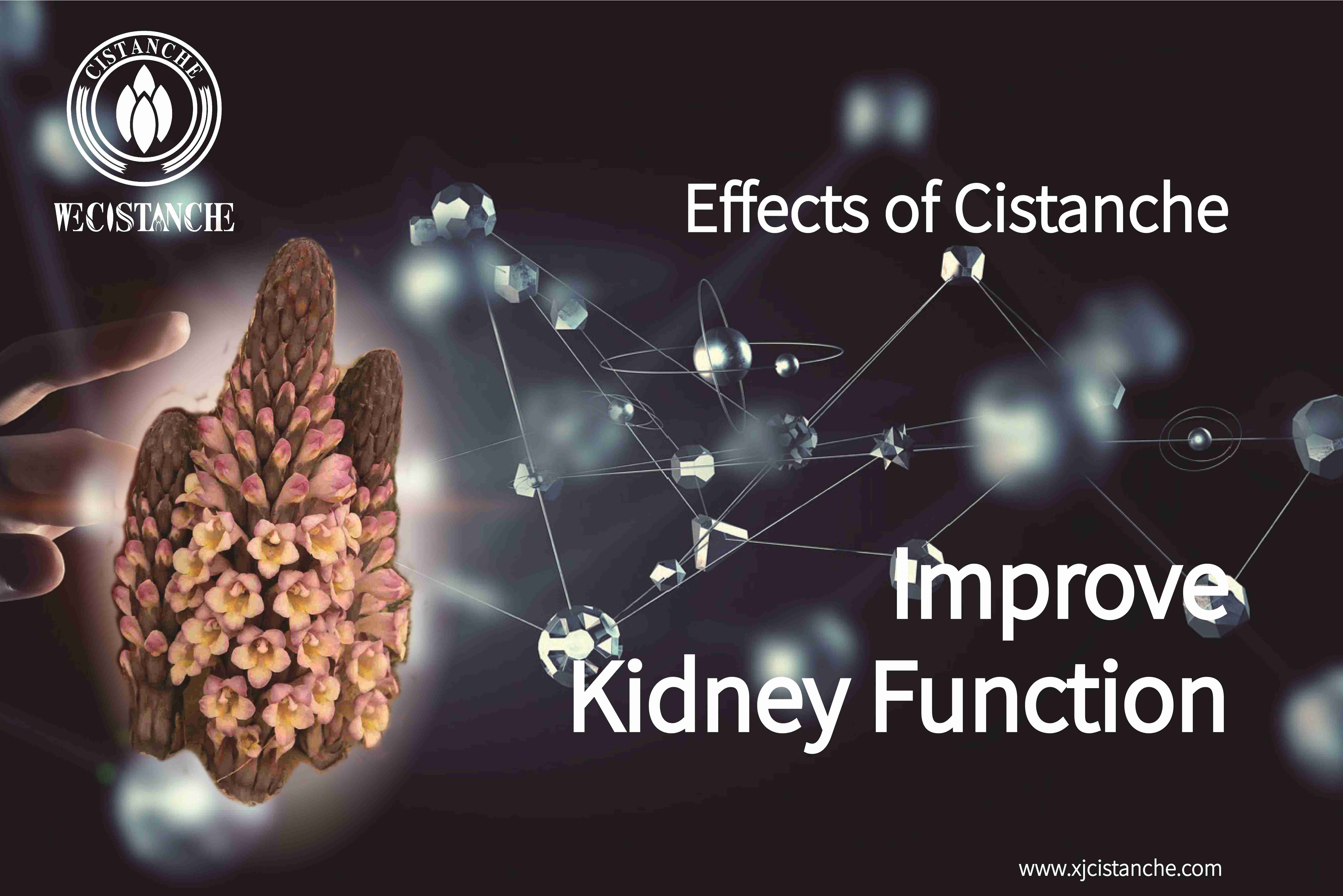 how to improve kidney function how to improve kidney function