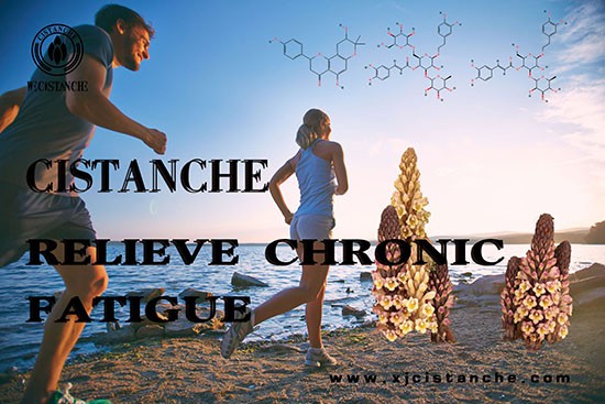 best herbs for relieve adrenel stress best herbs for relieve adrenel stress