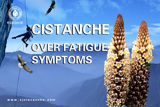 Cistanche Coffee