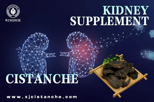 the best kidney supplement the best kidney supplement