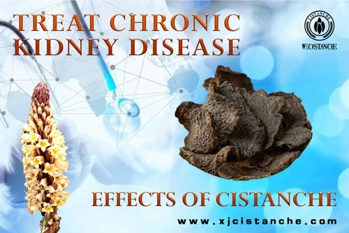treat kidney disease treat kidney disease