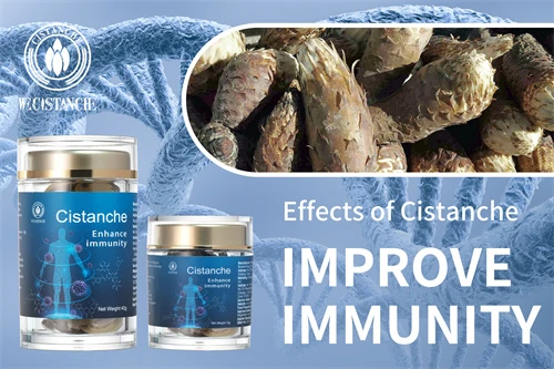 cistanche para que serve for immunity