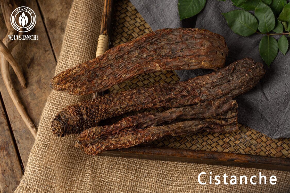 cistanche penis growth cistanche penis growth