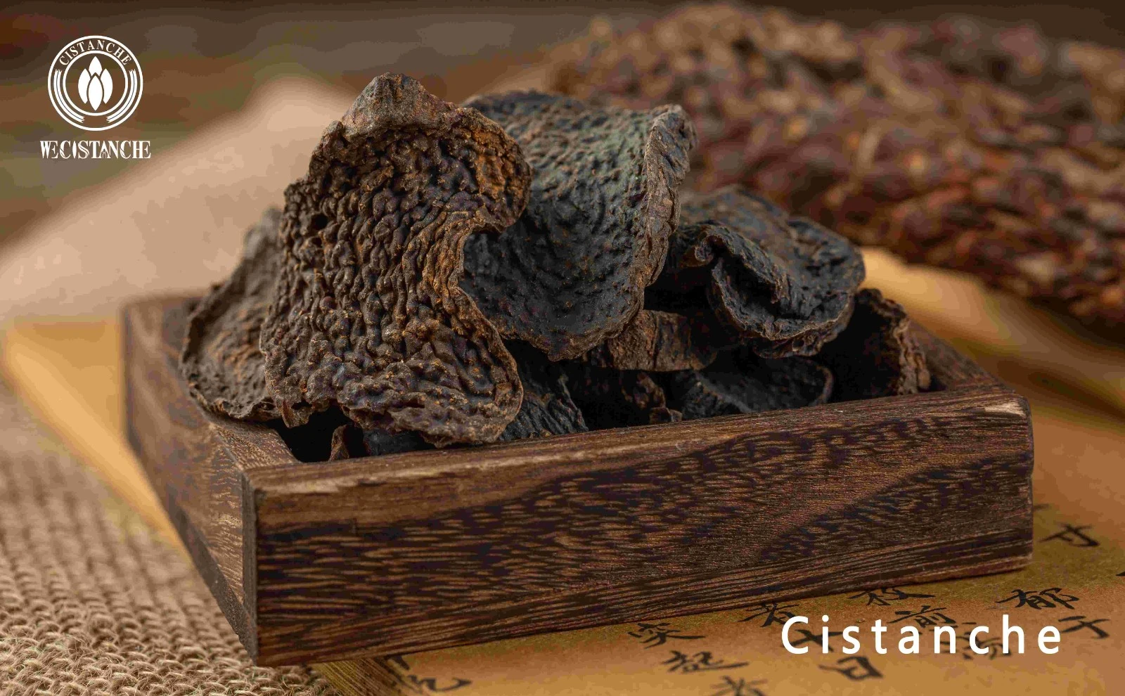 cistanche tubulosa powder