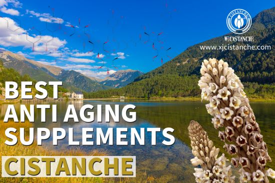 cistanche supplements for sale