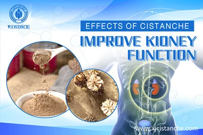 Cistanche benefits Cistanche benefits