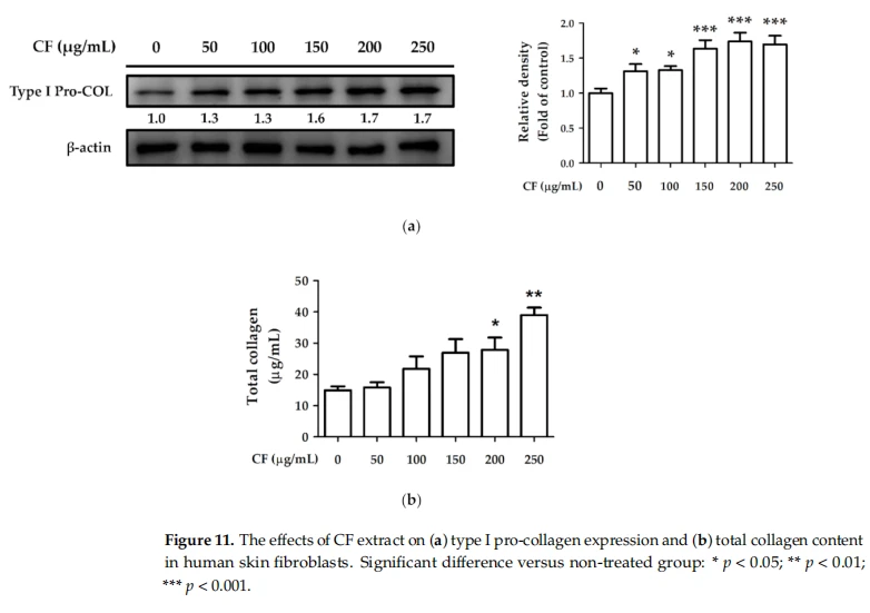 cistanche supplement