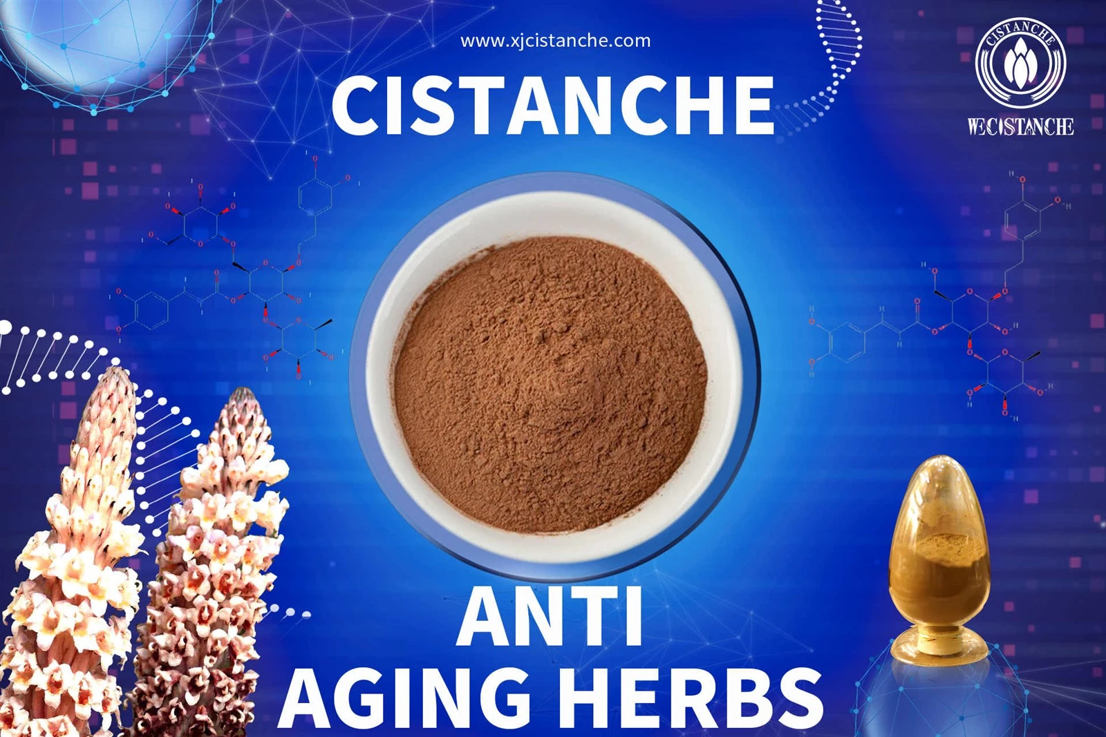 cistanche tablets benefits