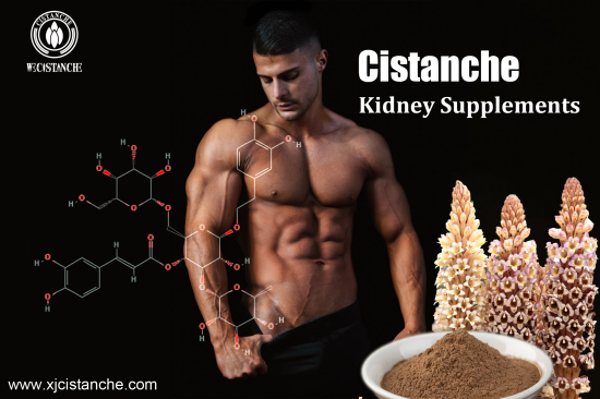 20% CISTANCHE TUBULOSA EXTRACT FOR KIDNEY