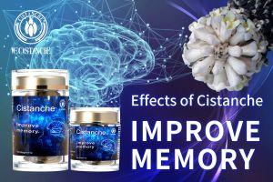 improve working memory