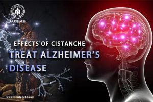 memory enhancement memory enhancement