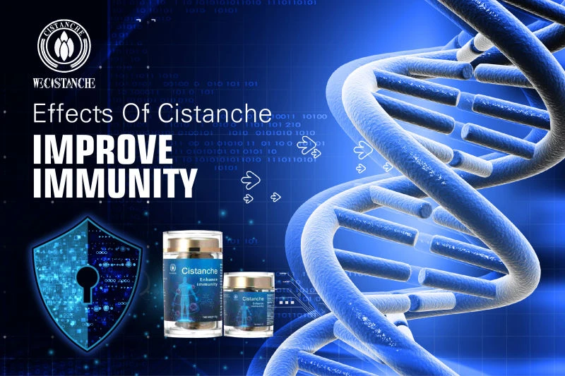 cistanche tubulosa for improving immunity cistanche tubulosa for improving immunity