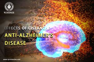 improve cognitive function improve cognitive function