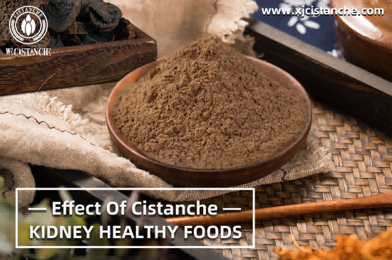 HERB CISTANCHE FOR THE RENAL DISEASE
