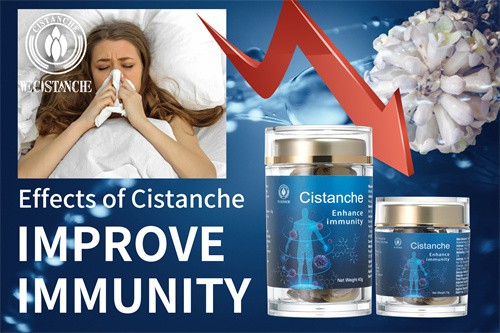 Cistanche Tubulosa for improving immunity and resilience