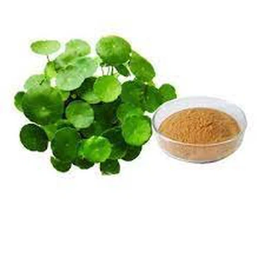 Bột chiết xuất Centella Asiatica