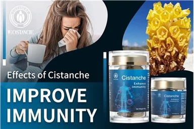 Thuốc tăng cường miễn dịch Cistanche Tubulosa