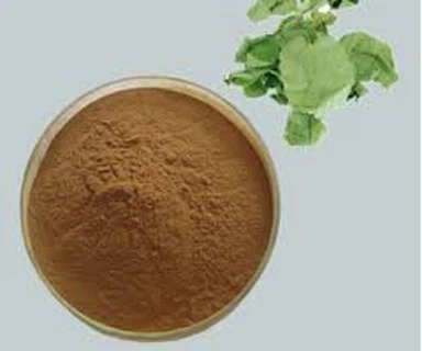 Bột chiết xuất Epimedium