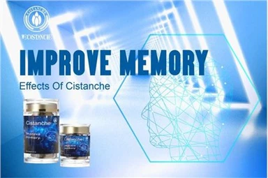 Cải thiện trí nhớ, Cistanche Tubulosa bổ sung hiệu ứng