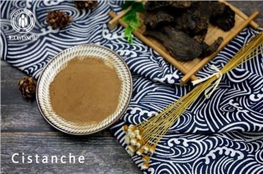 Cistanche Tubulosa Extract Thực phẩm bổ sung