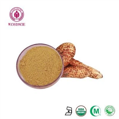 Wecistanche Quercetin bột Flavonoid