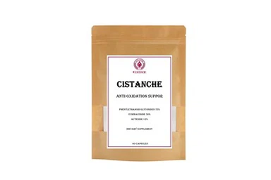 Cistanche Bổ sung chế độ ăn uống Hỗ trợ chống oxy hóa Phenylethanoid Glycoside 75 phần trăm Echinacoside 30 phần trăm Acteoside 12 phần trăm