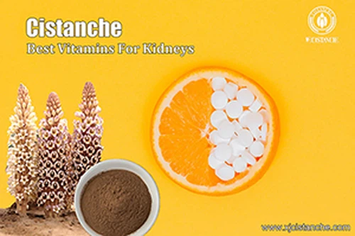 cistanche product cistanche product