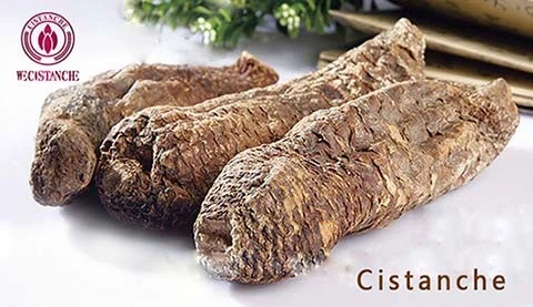 Cistanche desertiloca constipation benefits Cistanche desertiloca constipation benefits